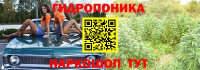скорость Аргун