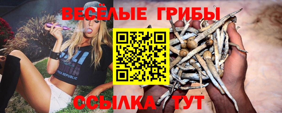 Великий Новгород  Псилоцибиновые грибы MAGIC MUSHROOMS  Галлюциногенные грибы Cubensis  Вход с VPN 